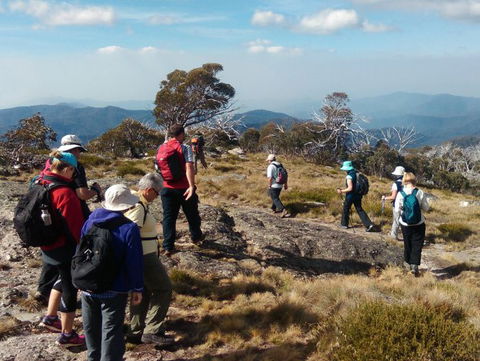 Hedonistic Hiking - Tourism Brisbane 0