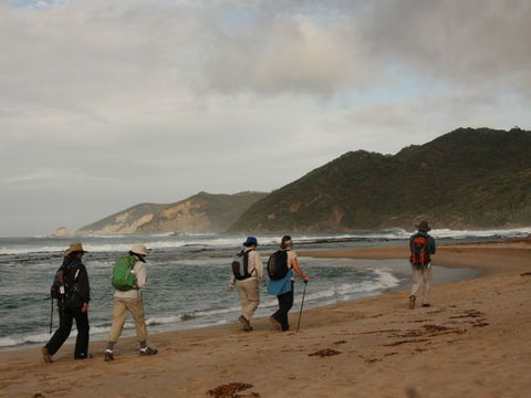 Hedonistic Hiking - Tourism Brisbane 2