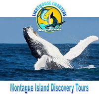 Lighthouse Charters Narooma - Brisbane Tourism