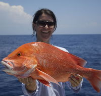 Absolute Ocean Charters - Brisbane 4u