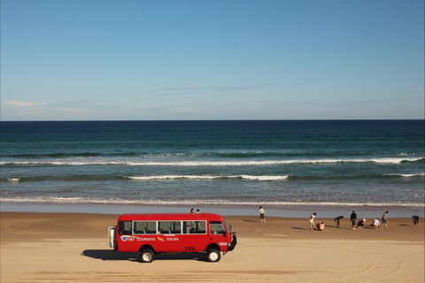 Port Stephens 4WD Tours - Tourism Brisbane 6