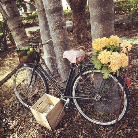 Childers Wine Trail - Tourism Brisbane 11