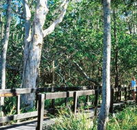 Kinaba Track - Brisbane Tourism