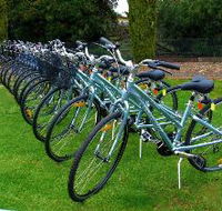 Barossa Bike  - Brisbane Tourism