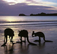 Beachcomber Cove Track - Tourism Brisbane