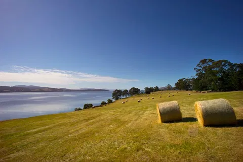 Coast House Tasmania - Tourism Brisbane 4