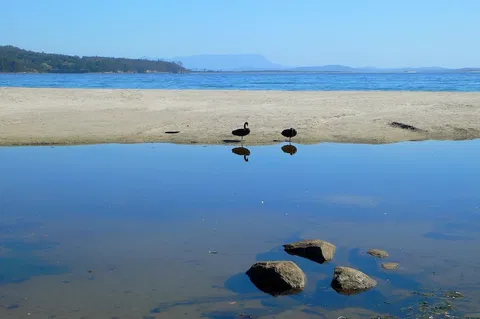 Coast House Tasmania - Tourism Brisbane 6