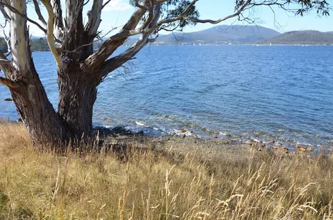 Coast House Tasmania - Tourism Brisbane 8