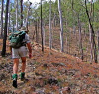 Shepherd's Peak Trail - Tourism Brisbane