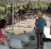 Whitsunday Crocodile Safari - Tourism Brisbane