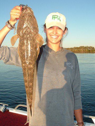 Reel Time Charters Yamba - Tourism Brisbane 2