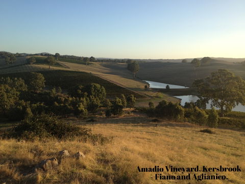 Scott & La Prova - Tourism Brisbane 1