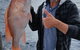 Fish Tales Charters Cairns Sportsfishing Adventure - thumb 4