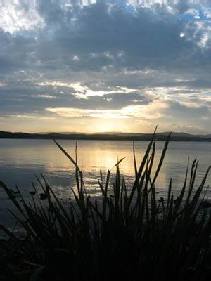 The Next Grind - Brisbane Tourism 1