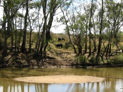The Next Grind - Brisbane Tourism 3