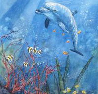 Nadas Fine Art Gallery - Tourism Brisbane