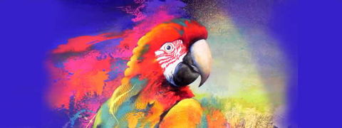 Tina Cooper Gallery - Brisbane Tourism 2