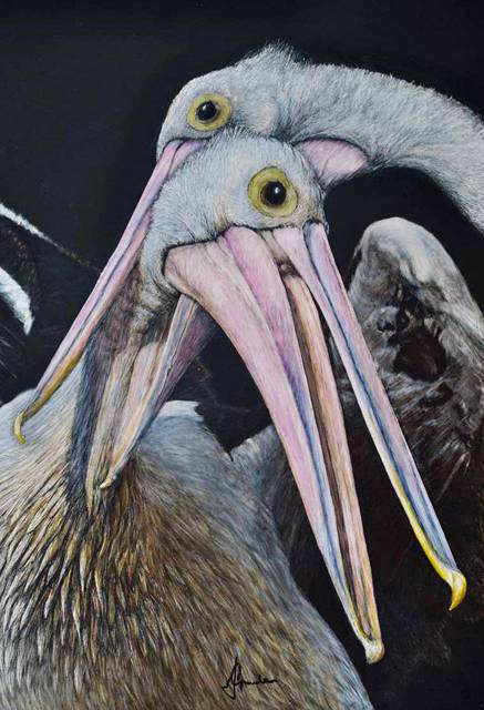 Caldera Wildscapes Gallery - Tourism Brisbane 1