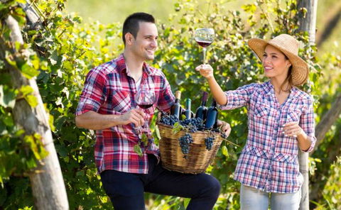 Two Tails Wines - Tourism Brisbane 0
