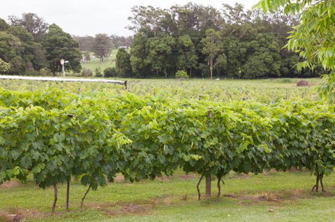Two Tails Wines - Tourism Brisbane 2