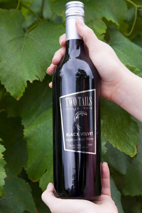 Two Tails Wines - Tourism Brisbane 3