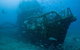 Kirra Dive “On The Tweed” - thumb 4