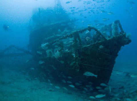 Kirra Dive “On The Tweed” - Tourism Brisbane 4