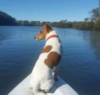 Australis Canoes  Kayaks - Tourism Brisbane