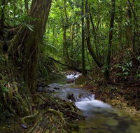 Trek North - Brisbane Tourism
