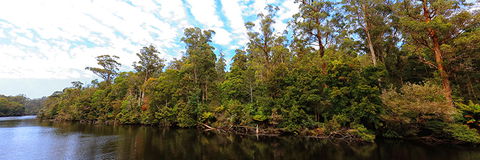 A R Reflections River Cruises - Tourism Brisbane 0