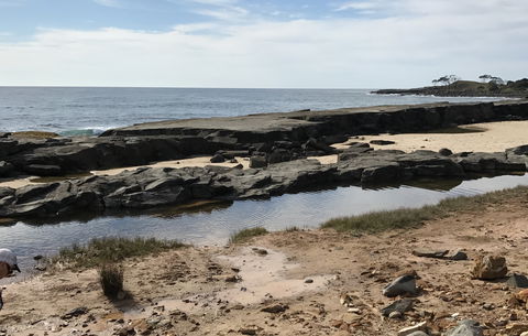 Yamba Tours And Charters - Tourism Brisbane 0