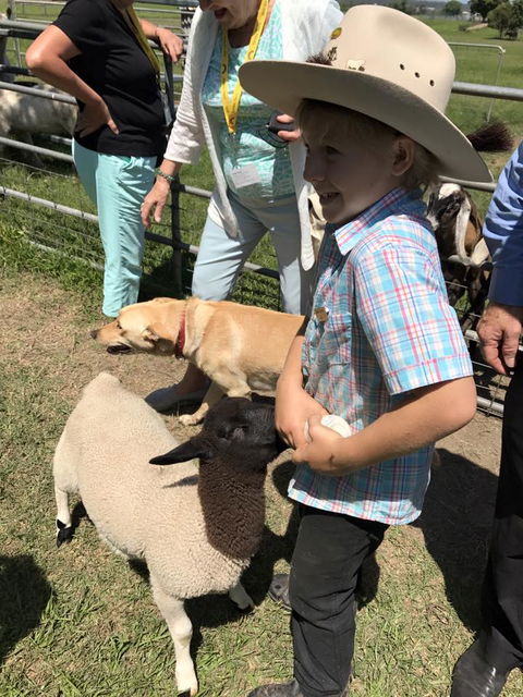 Yamba Tours And Charters - Tourism Brisbane 2