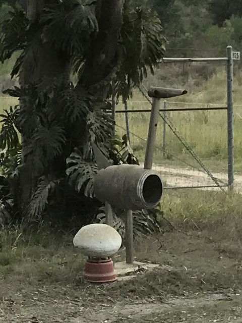 Yamba Tours And Charters - Tourism Brisbane 7