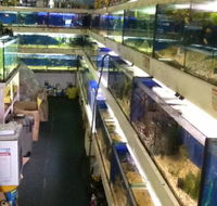 Clearwater Aquariums - Tourism Brisbane