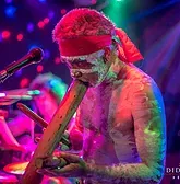 Didgeridoo Jam In The Park - Brisbane Tourism 1
