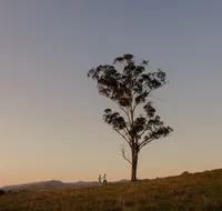 Faulls Ridge Winery - Tourism Brisbane