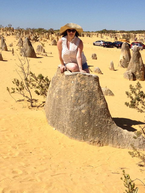 Pinnacles Desert, Koalas And Sandboarding 4WD Day Tour From Perth - Tourism Brisbane 18