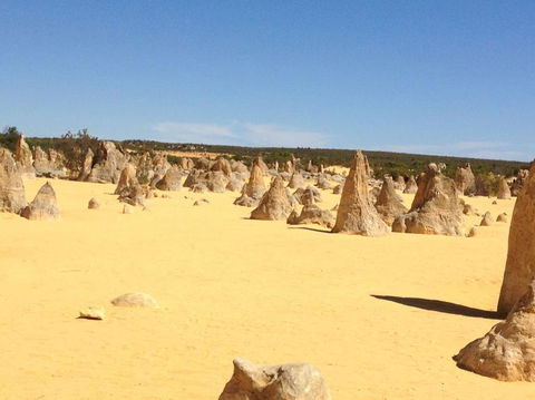 Pinnacles Desert, Koalas And Sandboarding 4WD Day Tour From Perth - Tourism Brisbane 15