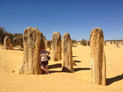 Pinnacles Desert, Koalas And Sandboarding 4WD Day Tour From Perth - Tourism Brisbane 17
