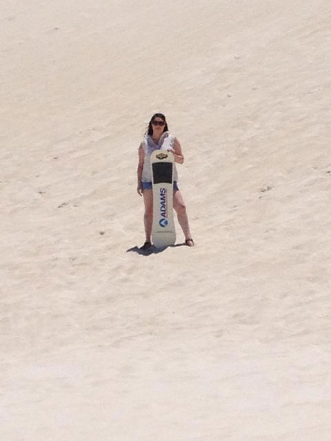 Pinnacles Desert, Koalas And Sandboarding 4WD Day Tour From Perth - Tourism Brisbane 21