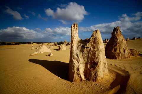 Pinnacles Desert, Koalas And Sandboarding 4WD Day Tour From Perth - Tourism Brisbane 6