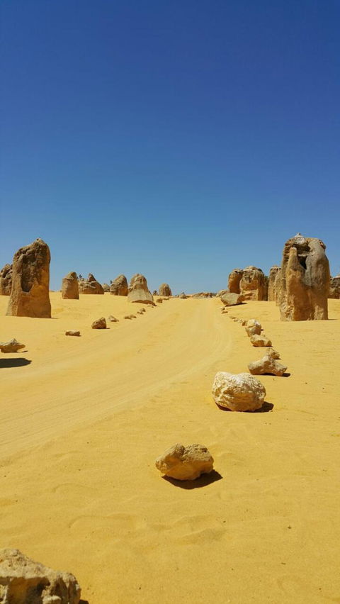 Pinnacles Desert, Koalas And Sandboarding 4WD Day Tour From Perth - Tourism Brisbane 3