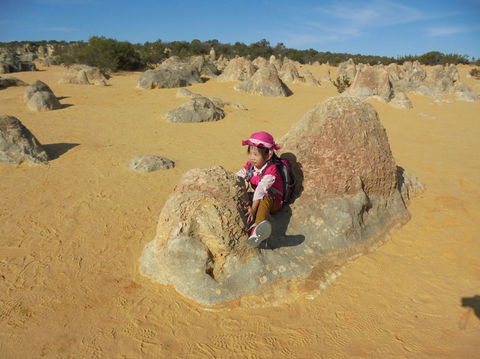 Pinnacles Desert, Koalas And Sandboarding 4WD Day Tour From Perth - Tourism Brisbane 7