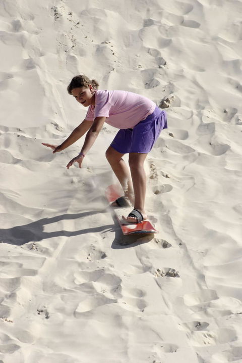 Pinnacles Desert, Koalas And Sandboarding 4WD Day Tour From Perth - Tourism Brisbane 24