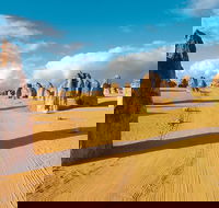 Pinnacles Desert Koalas and Sandboarding 4WD Day Tour from Perth - Tourism Brisbane