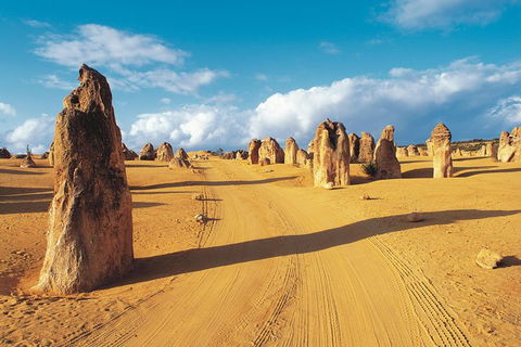 Pinnacles Desert, Koalas And Sandboarding 4WD Day Tour From Perth - Tourism Brisbane 0