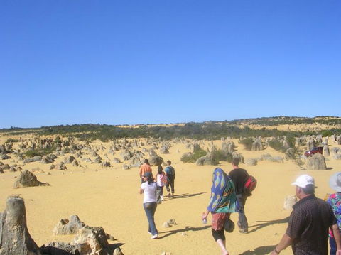 Pinnacles Desert, Koalas And Sandboarding 4WD Day Tour From Perth - Tourism Brisbane 25
