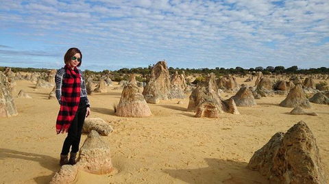 Pinnacles Desert, Koalas And Sandboarding 4WD Day Tour From Perth - Tourism Brisbane 13