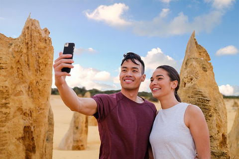 Pinnacles Desert, Koalas And Sandboarding 4WD Day Tour From Perth - Tourism Brisbane 1