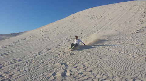 Pinnacles Desert, Koalas And Sandboarding 4WD Day Tour From Perth - Tourism Brisbane 14